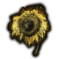 Golden Sunflower-image